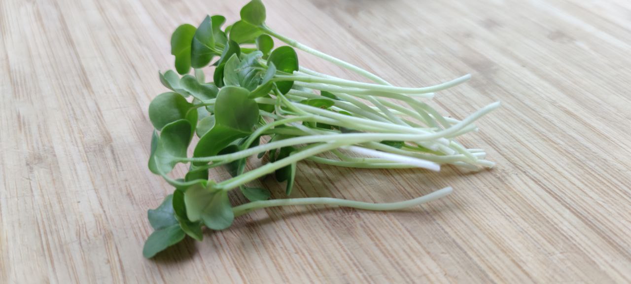 Green Radish Microgreens